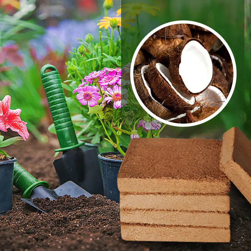 🌺【pachet de 9】Pământ nutritiv din cărămidă de nucă de cocos